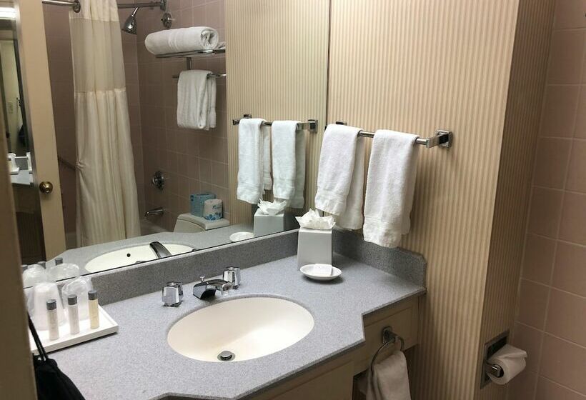 Standard Room 2 Double Beds, The Manhattan at Times Square