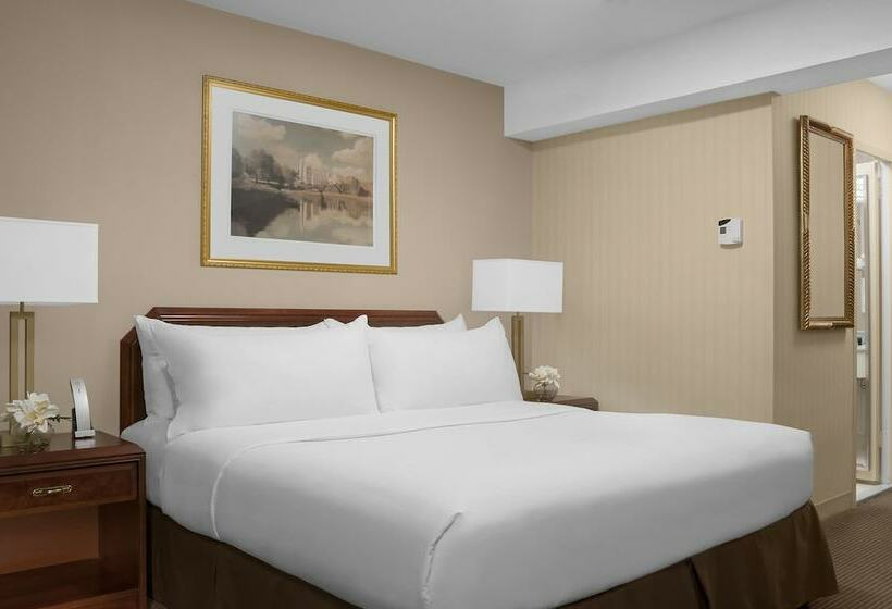 Standard Room, The Manhattan at Times Square